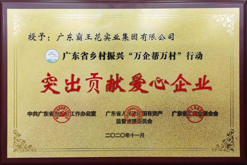 廣東省鄉村振興“萬企幫萬村”行動突出貢獻愛心企業