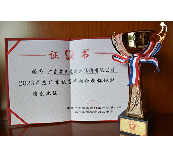 2023年度廣東扶貧濟困紅棉杯銅杯