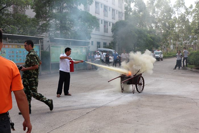 1533271792116230.jpg 4.jpg